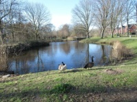 The Park nearby....