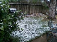 Pati's backyard
