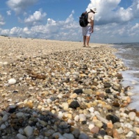 Beach Combing