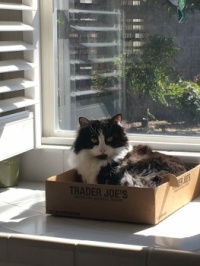 Morning sun with my favorite box