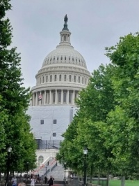 The Capitole - Washington D.C.