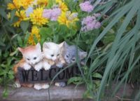 My furry friends WELCOME our visitors.