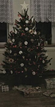 _vánoční stromeček 2 (2)