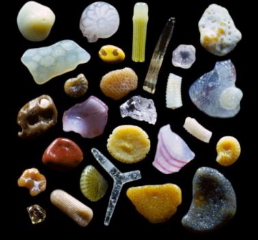 What Beauty Sand Grains Magnified -480x445