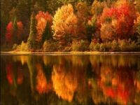 fall colors