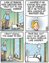 Pickles 819