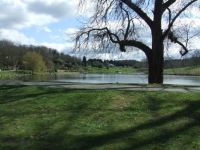 A Day Out at Leeds Castle #3