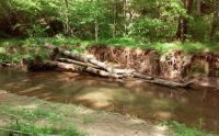 Cavender's Creek