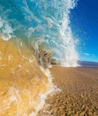 "Capturing the Wave"