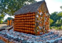Pumpkin Fest Dallas, Texas Arboretum