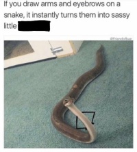 Sassy snake-o