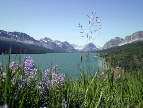 glacier