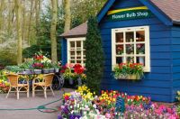 flower-bulb-shop