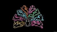 Eevee Evolutions