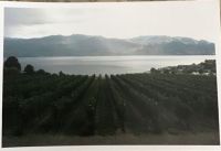 Memory Lane - visit to wineries 2013 Okanagan Valley, British Columbia