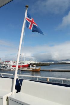 Iceland, whale watching trip