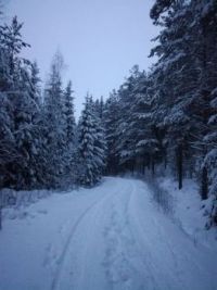 Winter Afternoon