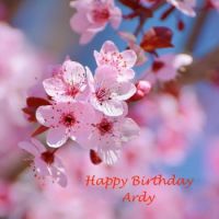 Happy Birthday Ardy!