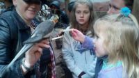 My youngest granddaughter feeding the birds
