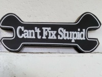 can't fix stupid-2