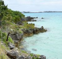 Bermuda 1