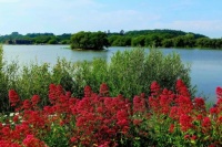 Hayling Island in Hampshire