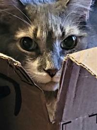 Greyson:  in his new box