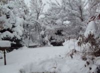 white Christmas in my front yard. 2014