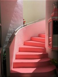 Palm Beach pink.