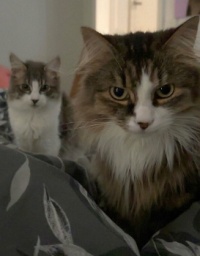 Alphie & Frankie 02