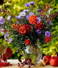 Bloemen