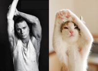 Men and cats (or cats and men)