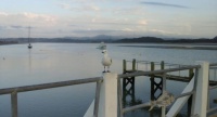 Ohiwa. Harbour Ohope NZ