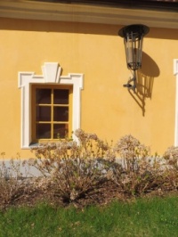 zátiší