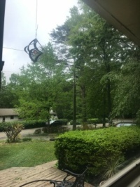 Front yard view today