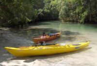Kayaks on the Weeki Wachee River