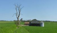 Farmland, near Hoxne