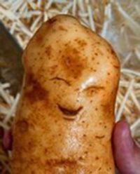 Sometimes you just need a laughing potato...
