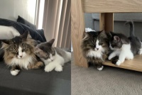 Alphie & Frankie Besties 02