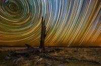 Star Trails 26