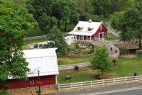 Small Farm