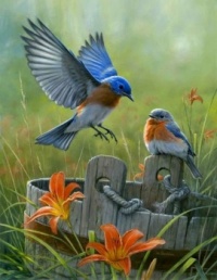 Bluebirds, Lilies and Wooden Bucket by Rosemary Millette