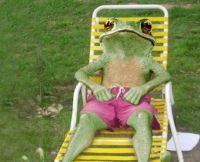 Bonga Bonga Resort and Spa - Eye Candy!!...