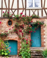 rose season in gerberoy (resize 12 to 378)