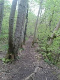 follow the path