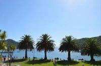 Picton NZ ...water front