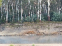 Across the Murray River