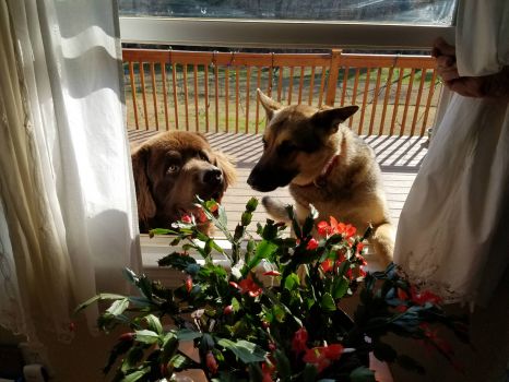 my kids