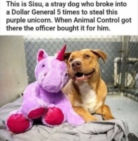 A dog and his stuffed toy