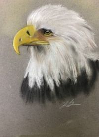 Eagle:19